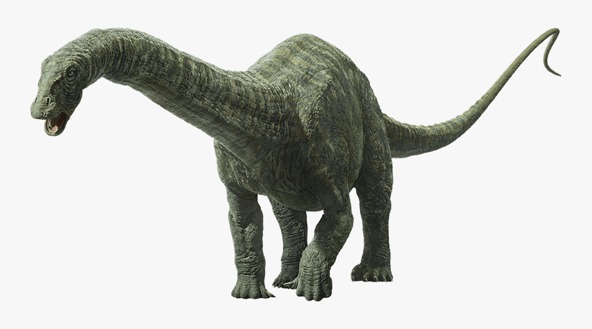 Jurassic World Fallen Kingdom Apatosaurus, HD Png Download