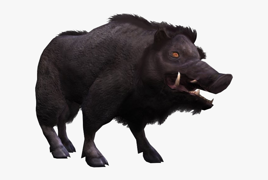 Wild Boar Png Images Transparent Background - Dog Licks, Png Download