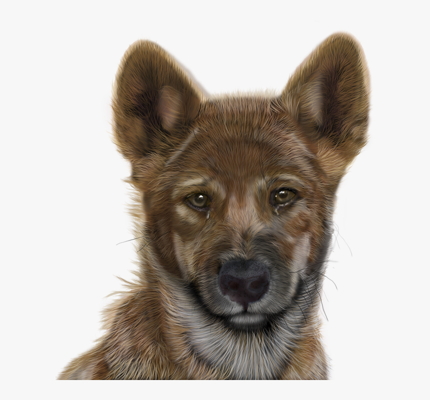 Photoshop, Painted, Computer Graphics, Graphic Design - Dogs Free Photos For Photoshop, HD Png Download