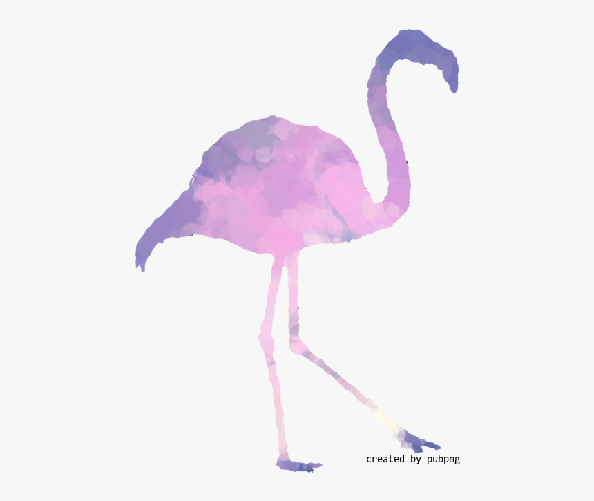 Pink M, Beak, Bird, Low Poly Transparent Png Image - Greater Flamingo, Png Download
