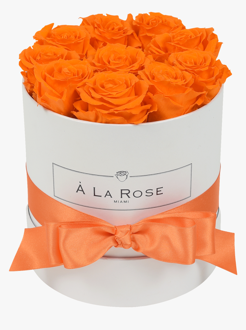 Orb Original Orange Roses 
 Class Lazyload Lazyload - Garden Roses, HD Png Download