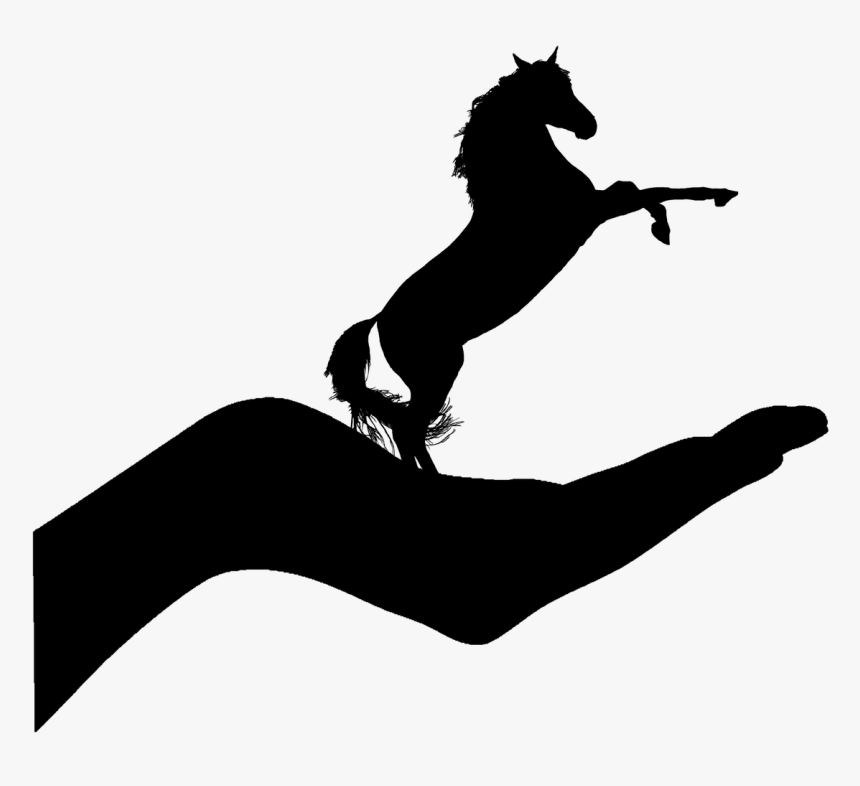 Pictures - Horse - Caballo Ajedrez Con Sombra, HD Png Download