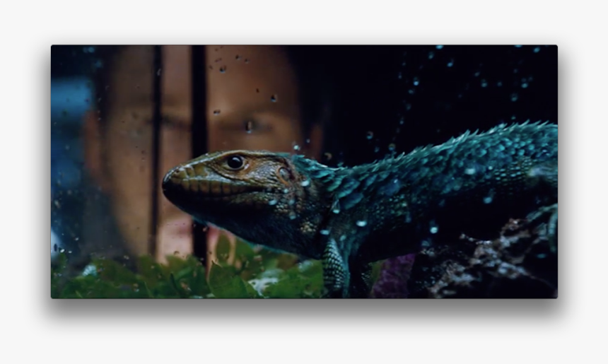 Jurassic World Nods To Feathered Dinosaursas A Professional - Jurassic World Feathered Lizard, HD Png Download
