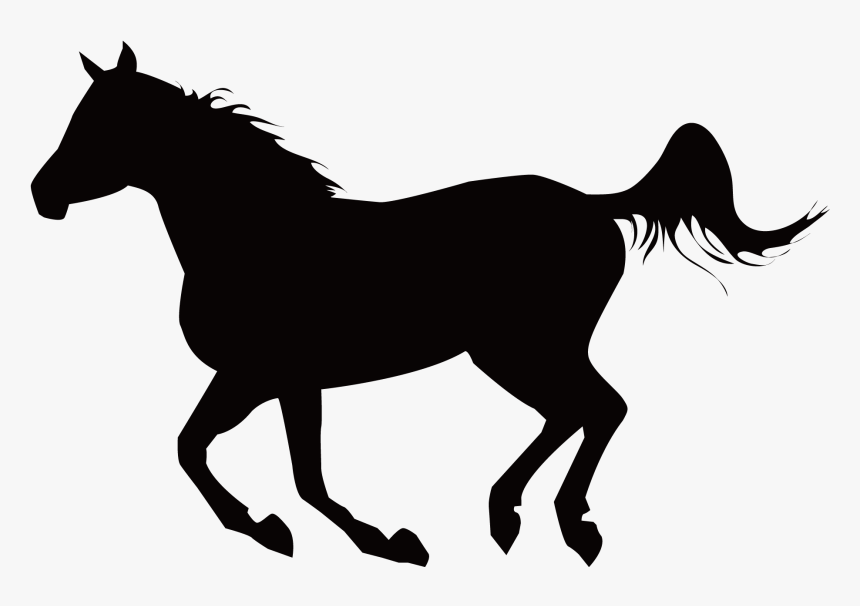 Mustang Stallion Equestrianism Clip Art - Horse, HD Png Download