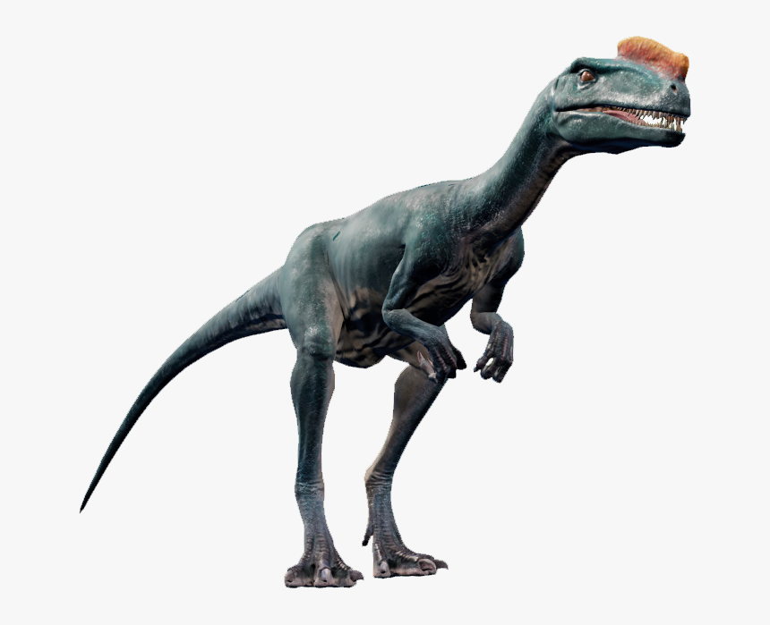   - Proceratosaurus Jurassic World Evolution, HD Png Download