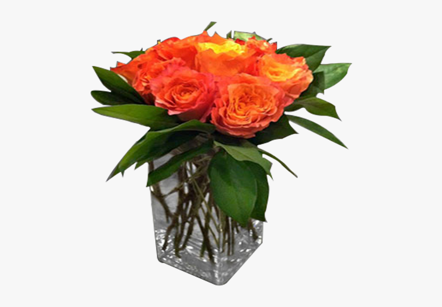Garden Roses, HD Png Download