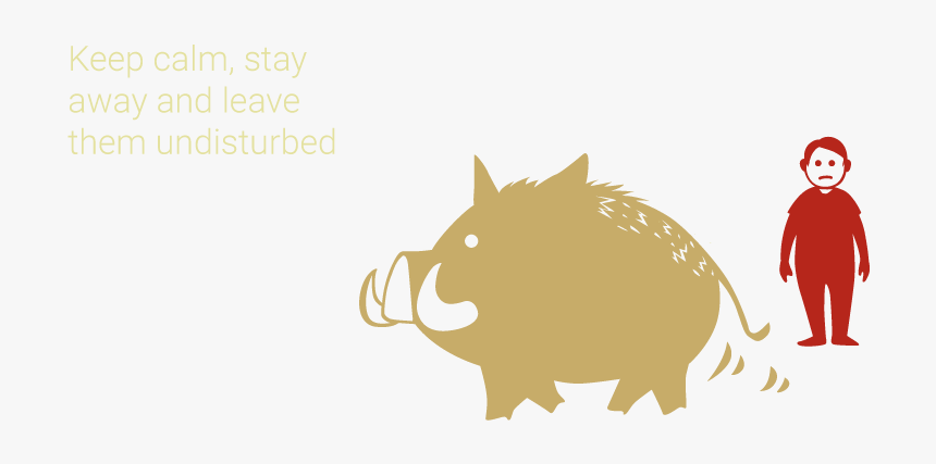 Illustration, HD Png Download