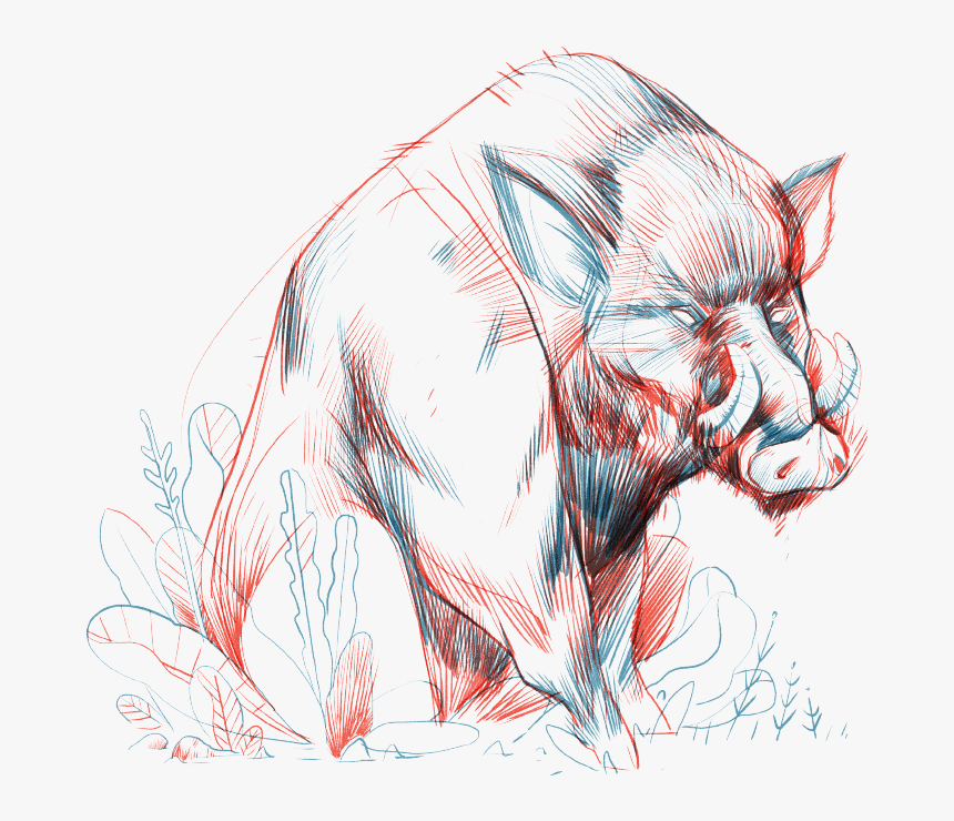 Illustration, HD Png Download