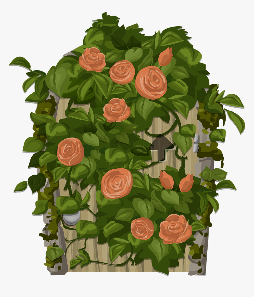 Roses Climbing Transparent Png, Png Download