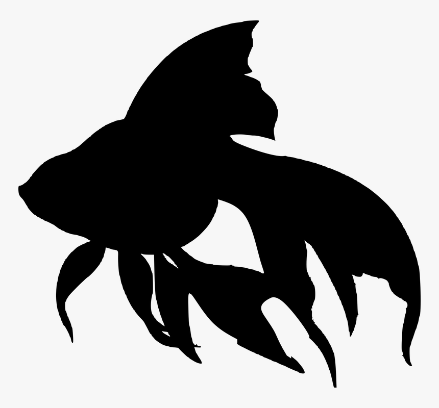 Fish, Sea, Silhouette, Water Creatures - Fish Silhouette, HD Png Download
