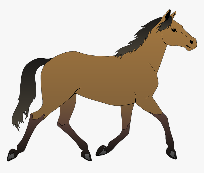 Horse Free Vector / 4vector - Horse Clipart, HD Png Download