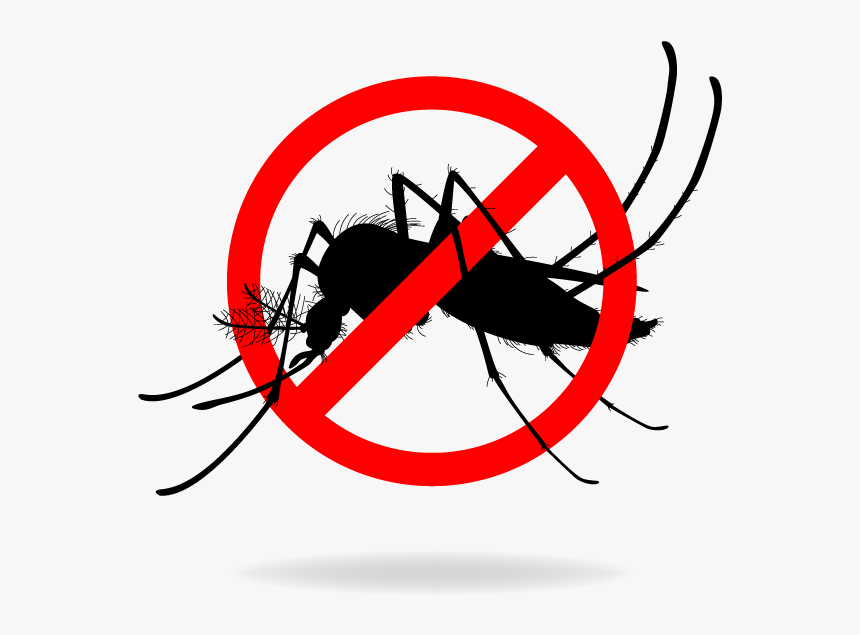 Stop Mosquito Breeding - Stop Mosquito, HD Png Download