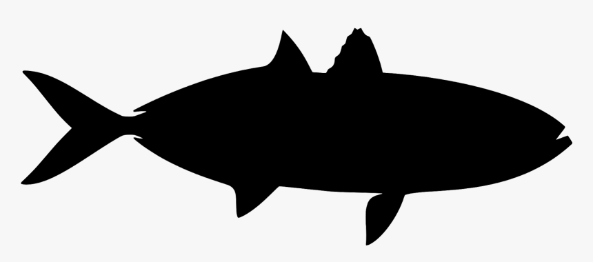 Fish, Silhouette, Tropical, Sea Creatures, Under Water, - Silhouette, HD Png Download