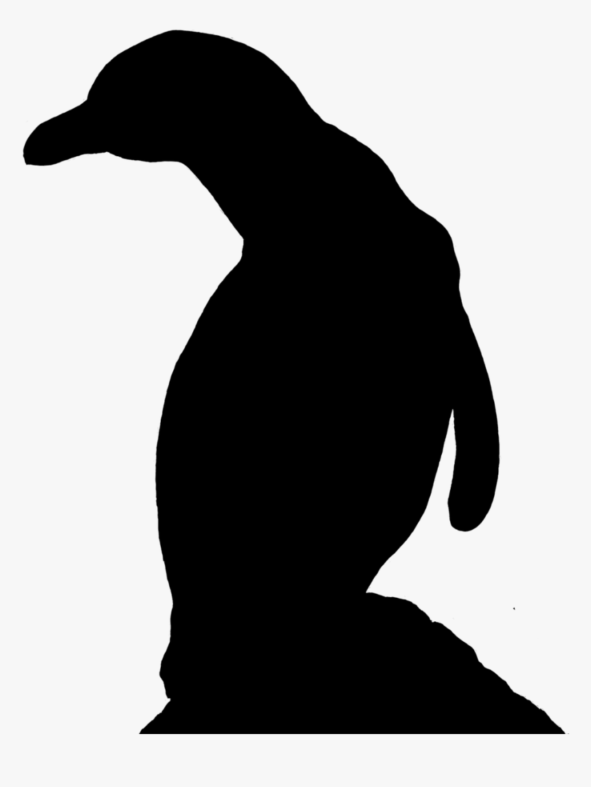 Penguin,water Pictures, Free Photos, Free - Adã©lie Penguin, HD Png Download