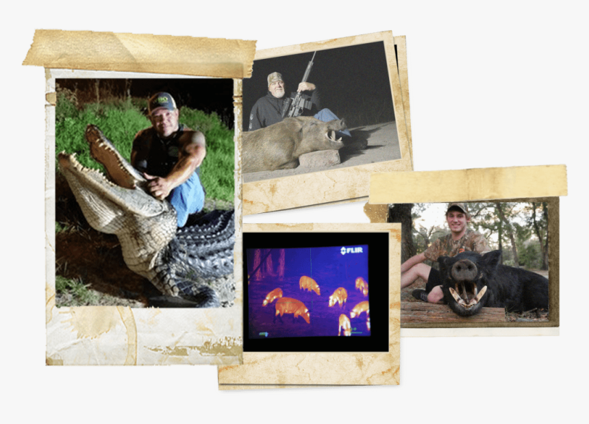 Picture Frame, HD Png Download