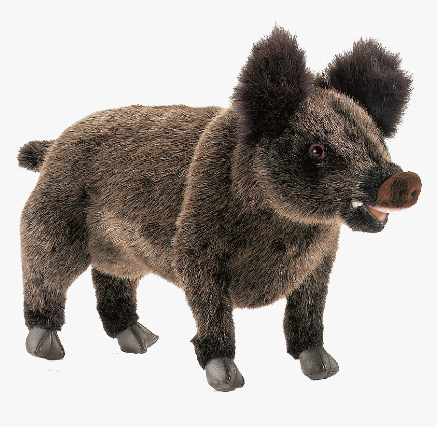 Wild Boar Free Pictures - Stuffed Toy, HD Png Download
