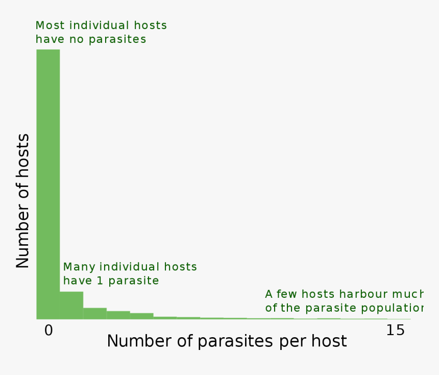 Screenshot, HD Png Download