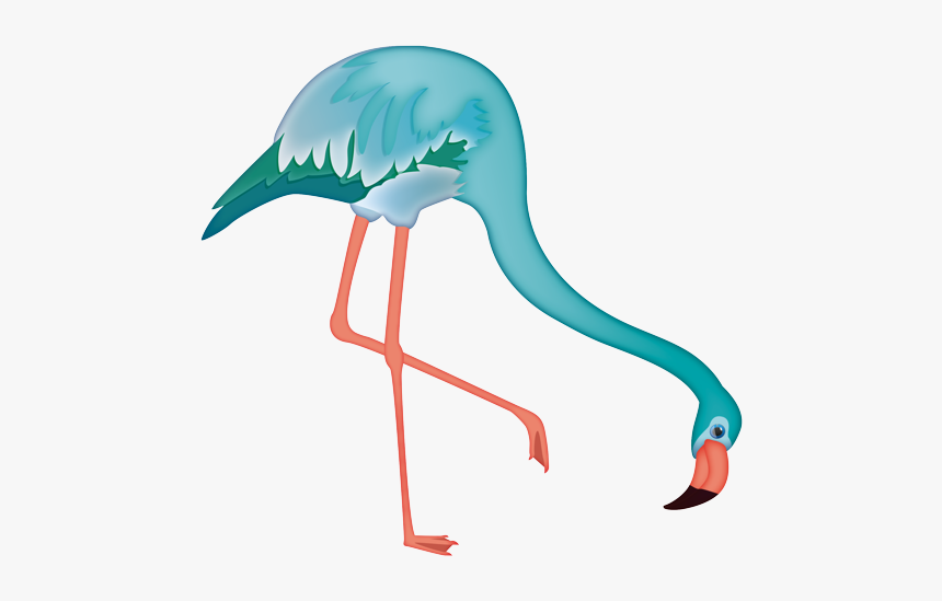 Greater Flamingo, HD Png Download