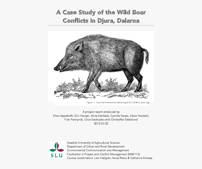 Sus Scrofa Linnaeus, HD Png Download