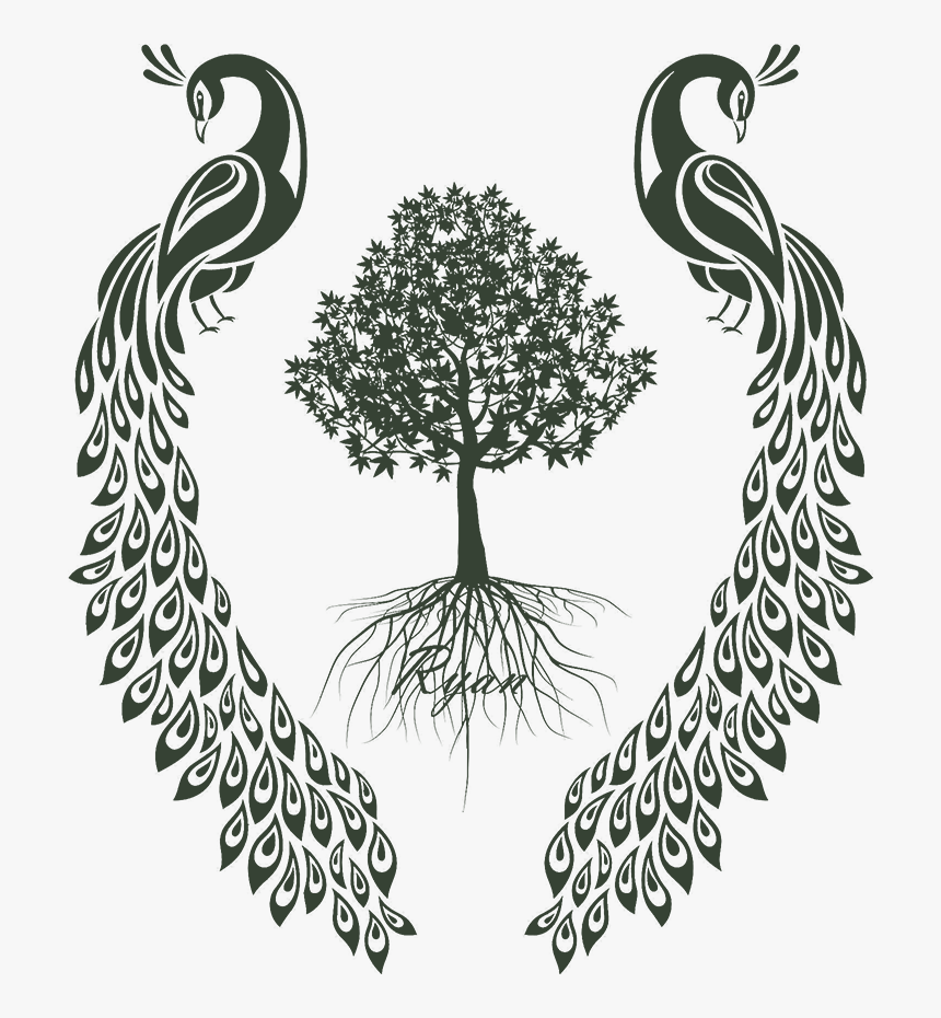 Join Us For The 3rd Annual Peacock Invitational On - Vector Graphics, HD Png Download