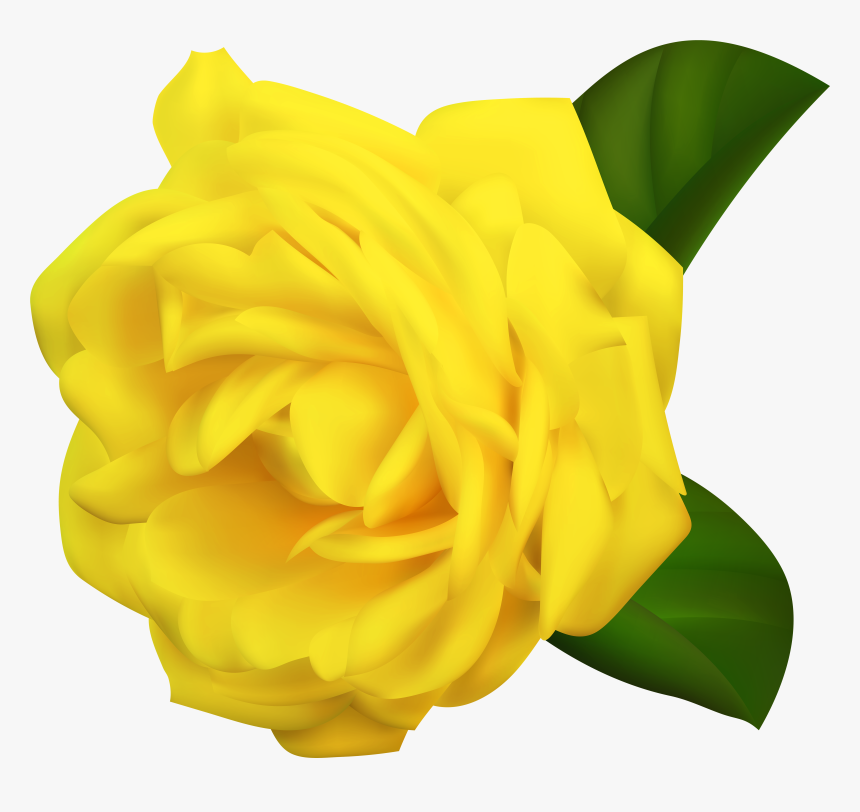 Rose Png - Portable Network Graphics, Transparent Png