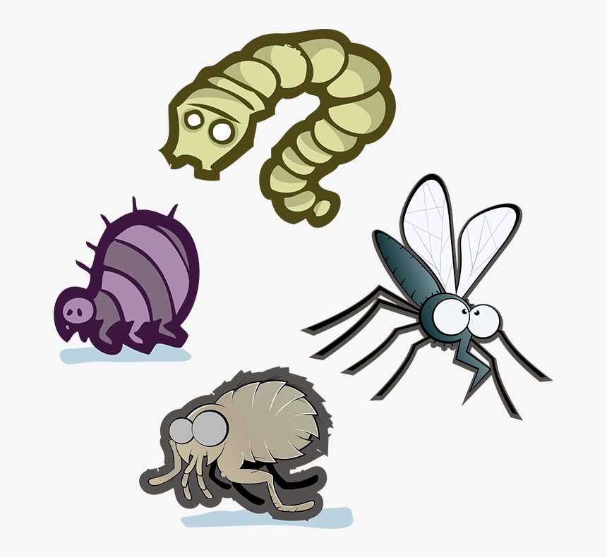 Parasitism Clipart , Png Download - Cartoon, Transparent Png