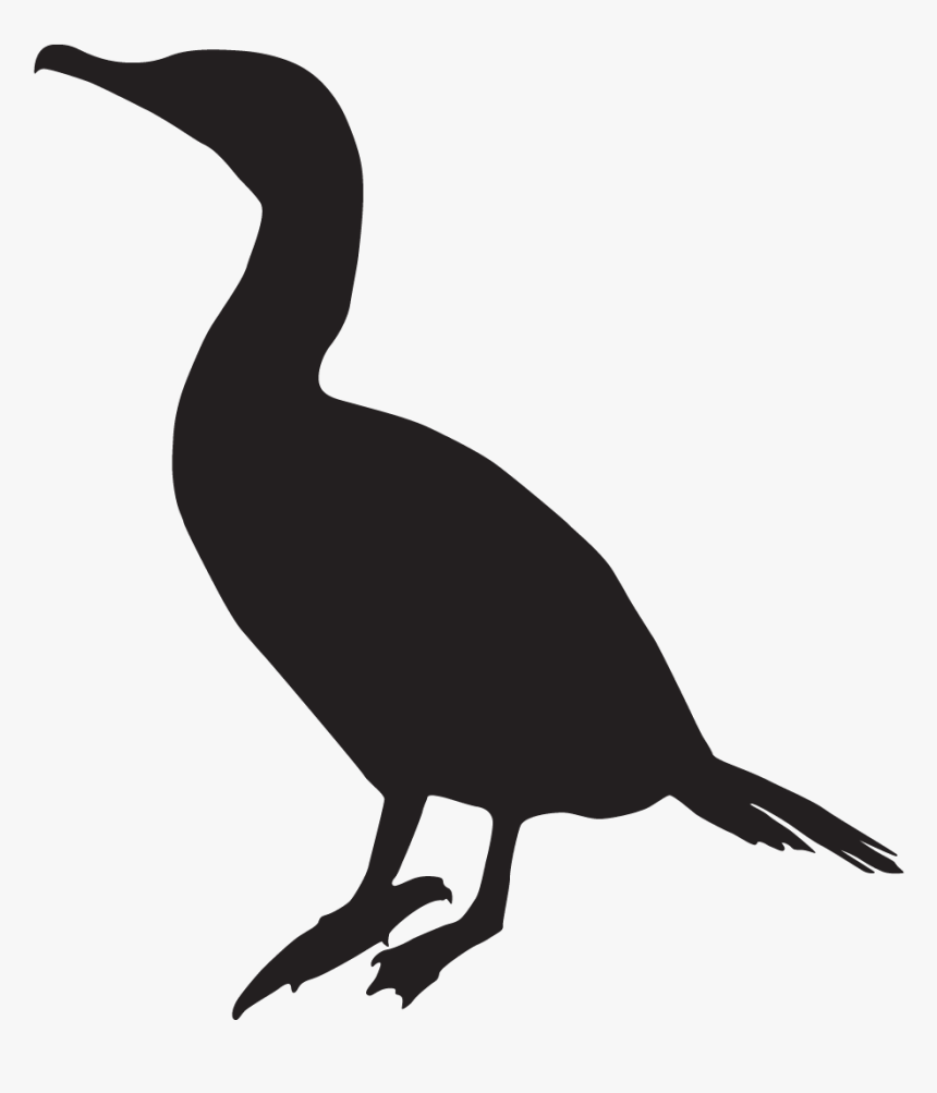 Cormorant Silhouette, HD Png Download