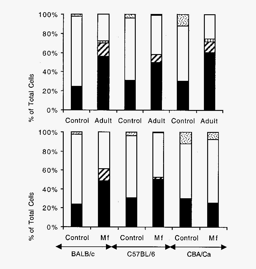 Number, HD Png Download