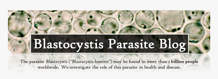 Blastocystis Parasite Blog - Blastocystis Hominis Blastocystis St7, HD Png Download