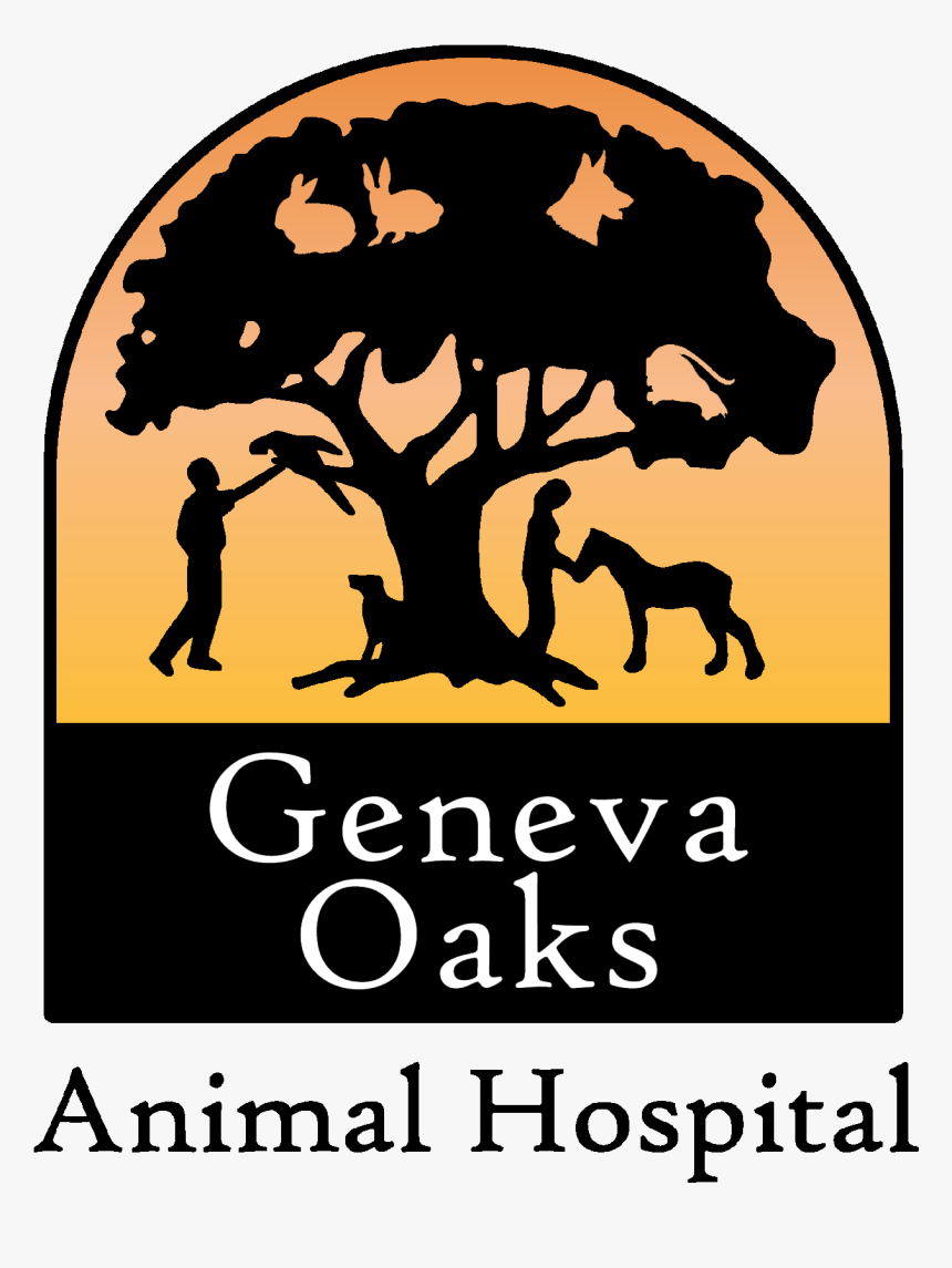 Illustration, HD Png Download