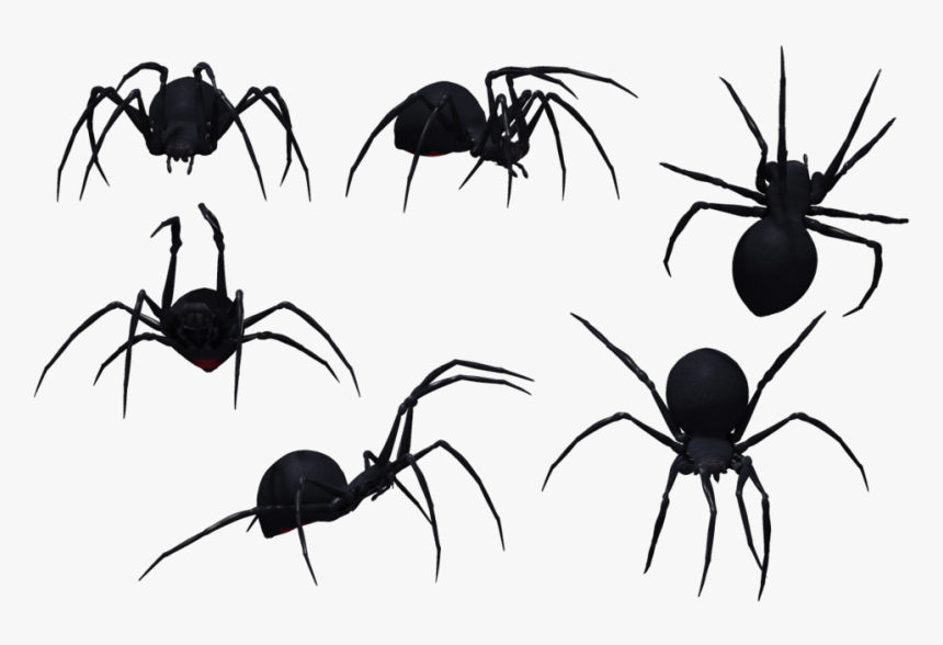 Parasite - Spider Drawing Side View, HD Png Download