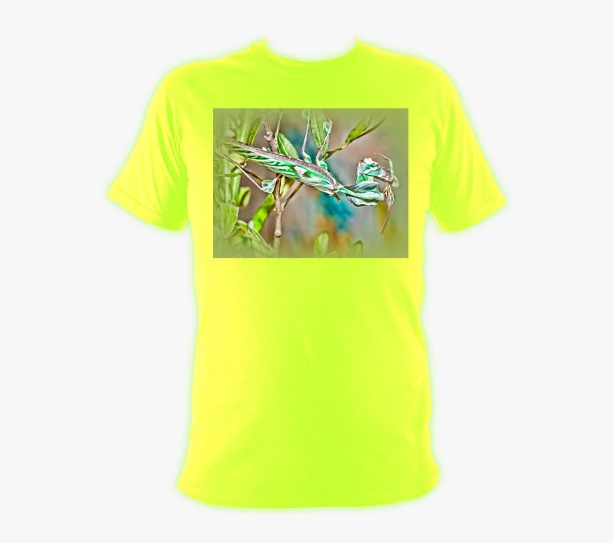 Praying Mantis Png, Transparent Png