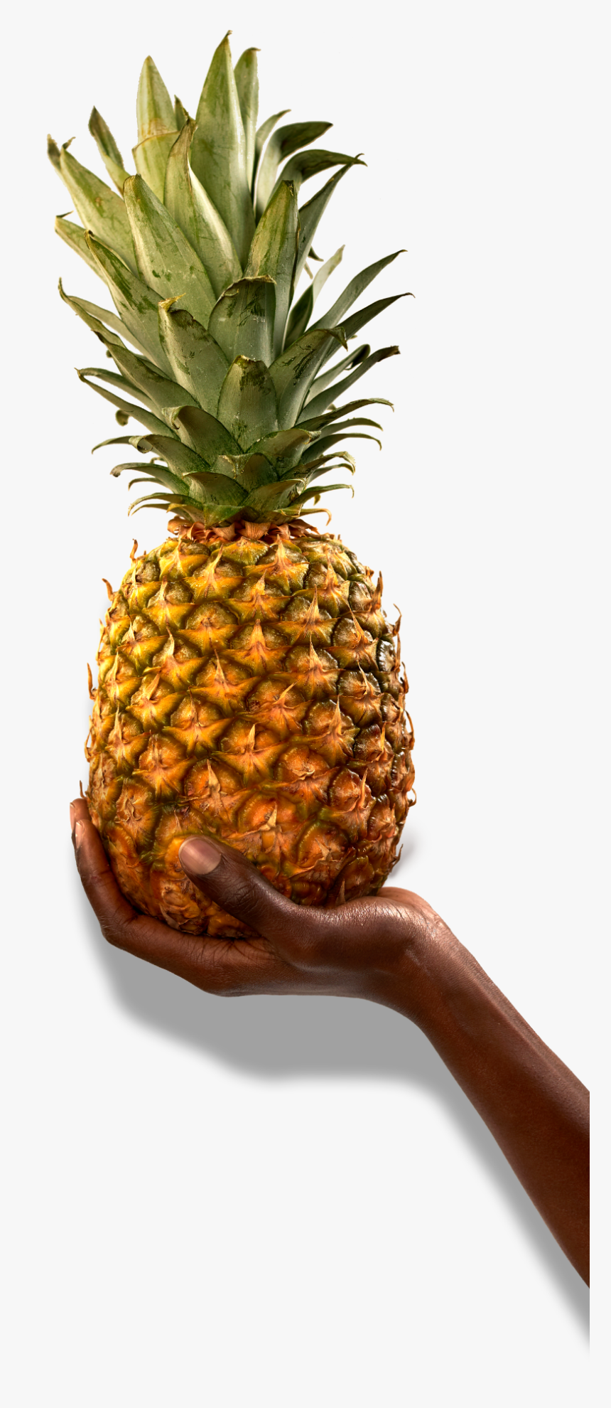 Pineapple Emoji Png, Transparent Png , Transparent Png Image PNGitem