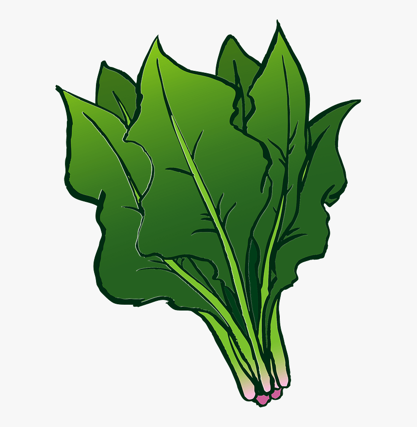 Spinach Vegetable Clipart 無料 イラスト ほうれん草 Hd Png Download Transparent Png Image Pngitem