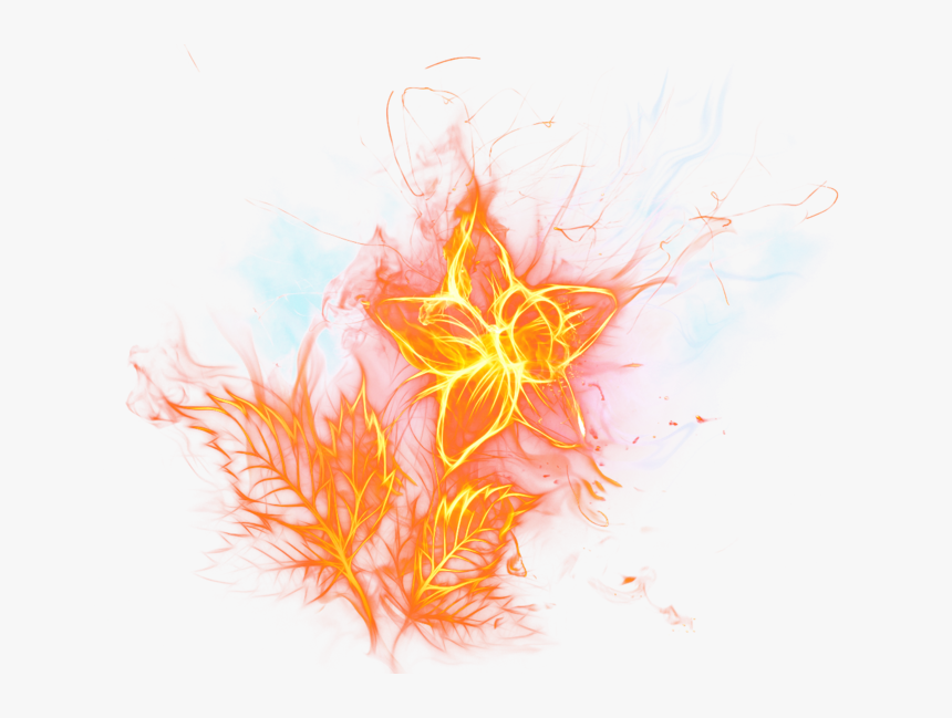 Fire Flower, HD Png Download