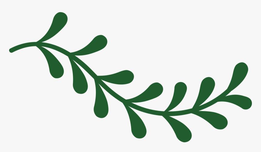 Green Vine Png, Transparent Png