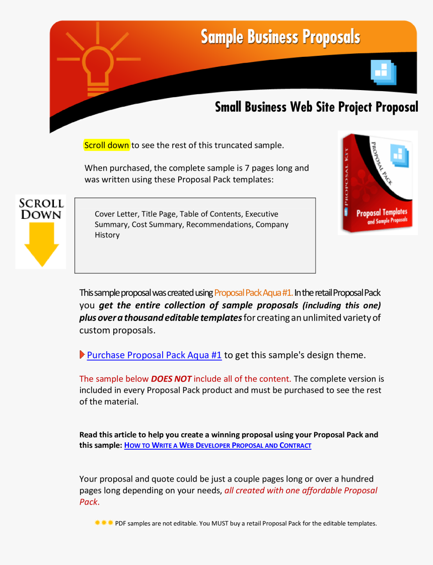 Simple Business Proposal Format Main Image, HD Png Download