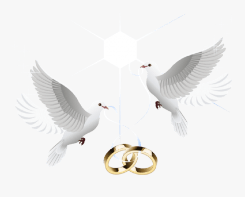 Free Png Download Wedding Doves With Rings Png Images, Transparent Png