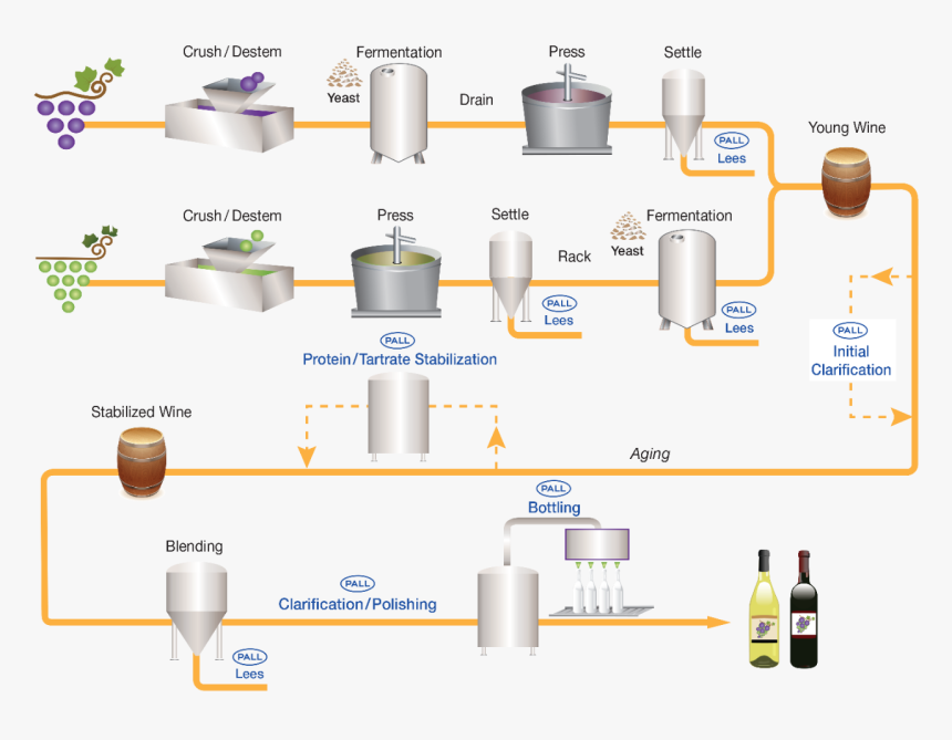 Wine Filtration Process Flow Diagram, HD Png Download , Transparent Png