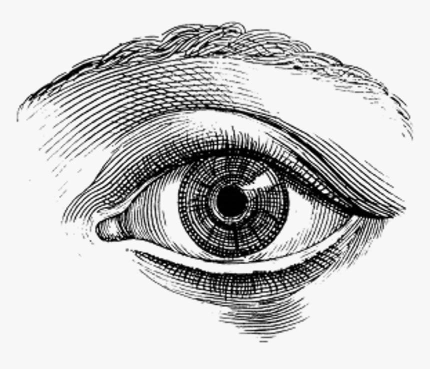 Eye Vintage Illustration , Png Download, Transparent Png , Transparent ...