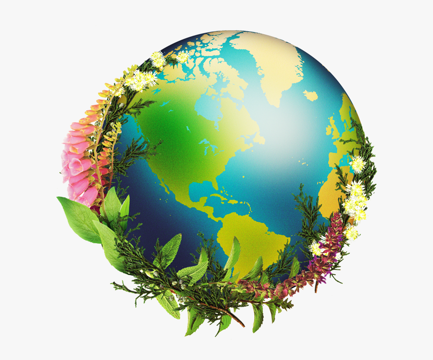 Chrysalis Natural Medicine - Globe, HD Png Download