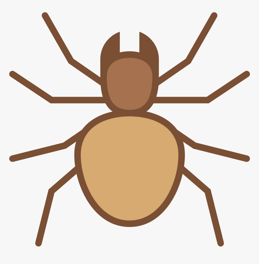 Transparent Colorful Spiders Clipart - Weevil, HD Png Download