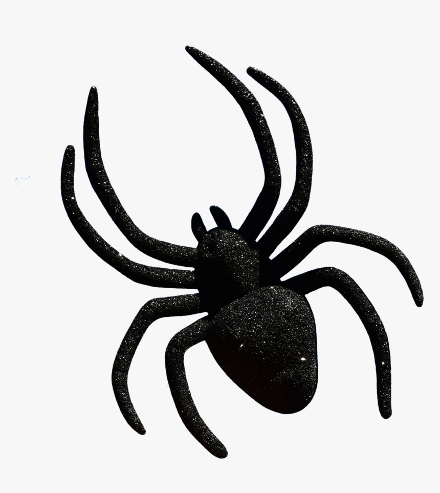 Widow Spiders Halloween Clip Art Image - Art Halloween Spider, HD Png Download