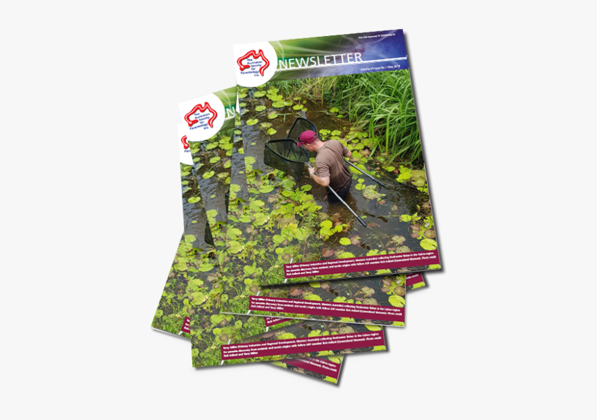 Wildlife, HD Png Download