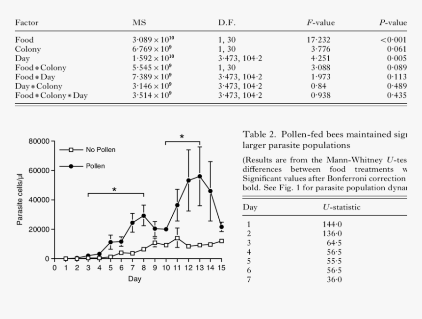 Diagram, HD Png Download