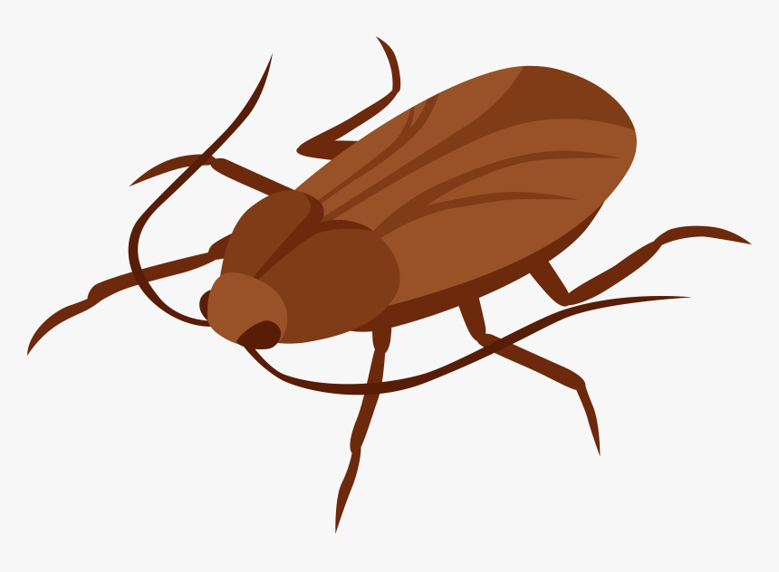 Cockroach Png Clip Art - Cockroach Clipart, Transparent Png
