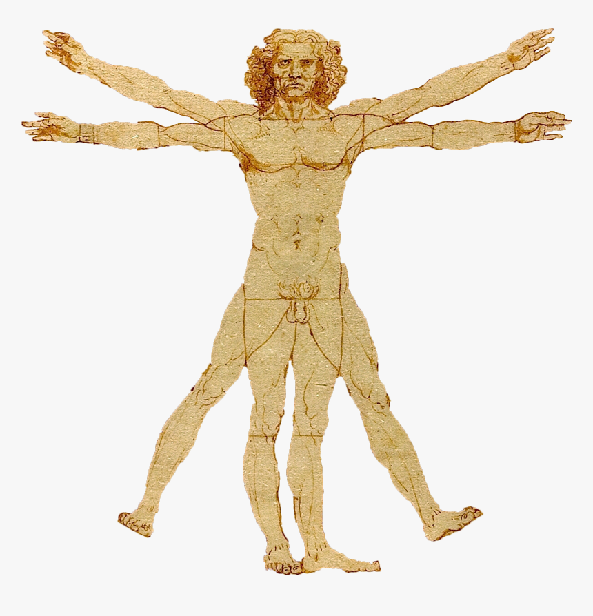 Portale Leonardo Da Vinci - Leonardo Da Vinci Homo Erectus, HD Png Download