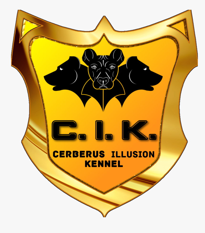 Png Rostro De Perro Cimarron Uruguayo, Transparent Png