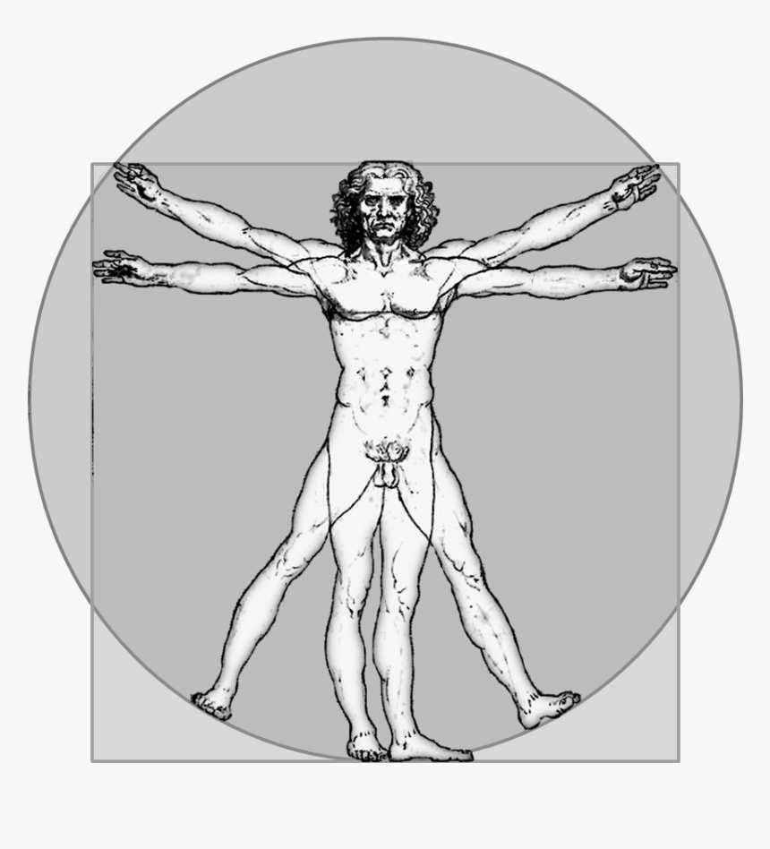Transparent Human Figure Png - Da Vinci Human Png, Png Download