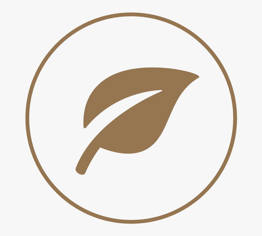 Image - Circle, HD Png Download